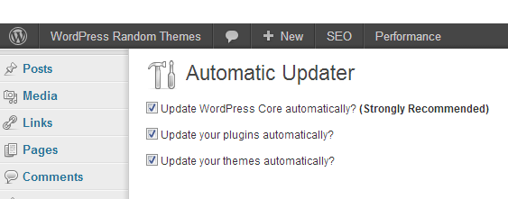 Automatic Updater ‹ WordPress Random Themes — WordPress