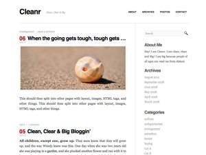 Wordpress theme Cleanr