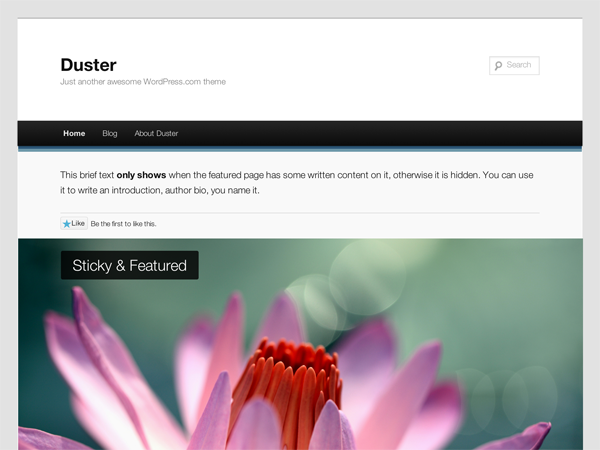 Wordpress theme Duster