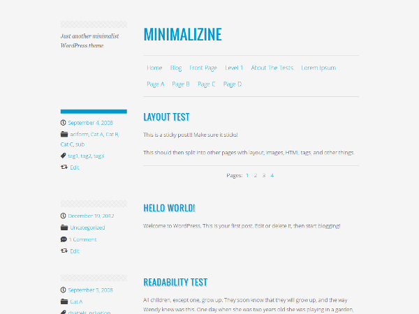 Wordpress theme Minimalizine
