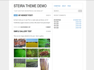Wordpress theme Steira