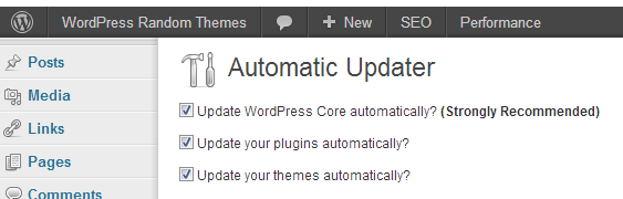Cómo automatizar todas las actualizaciones en WordPress